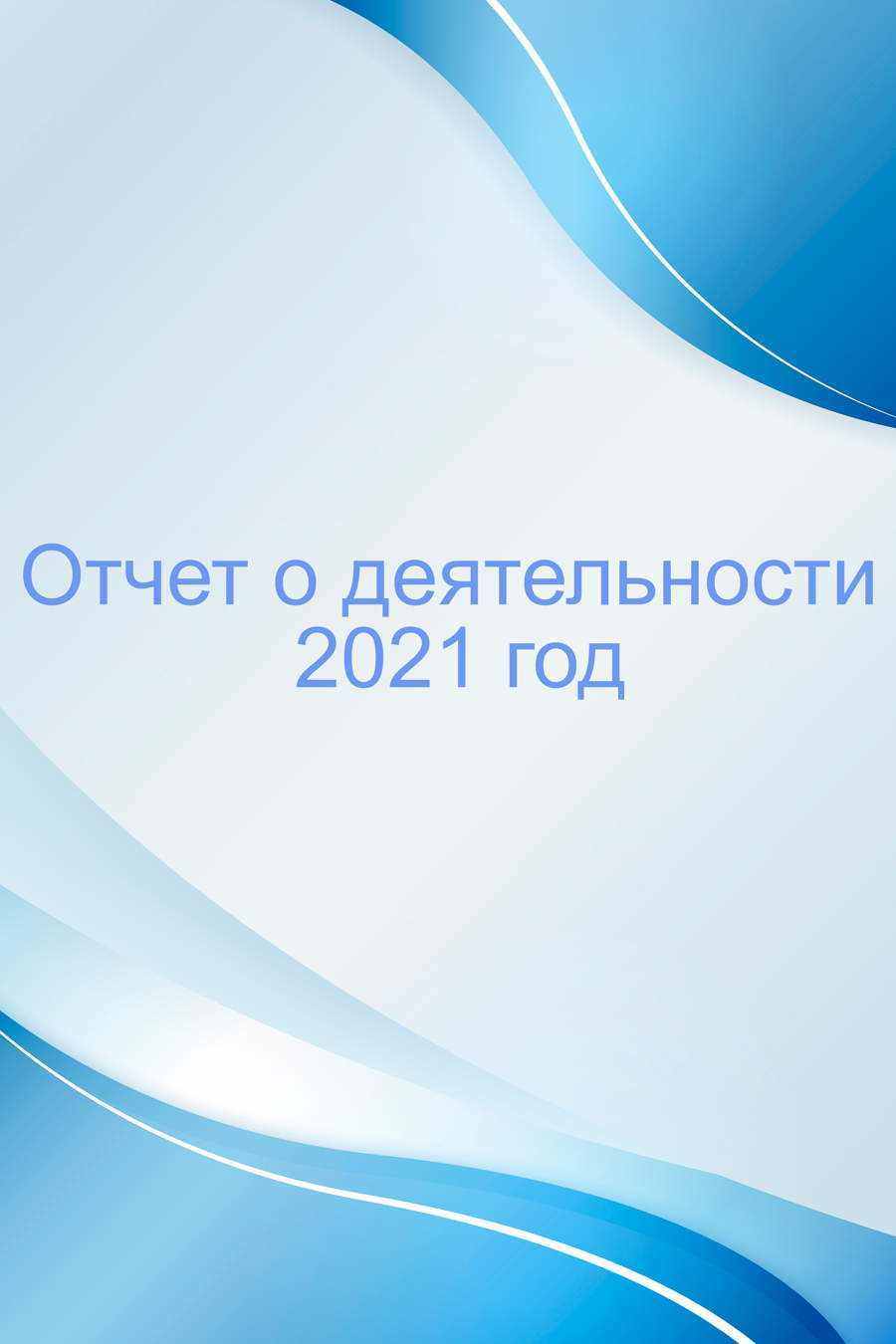 Отчет о деятельности 2021 год